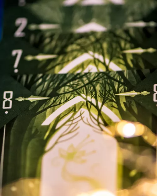 Test et avis sur le jeu SHAMANS détail carte